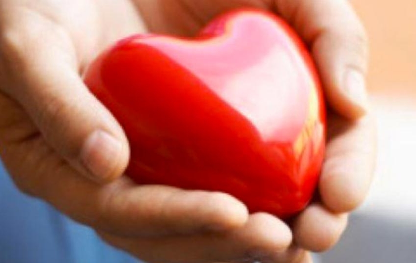 Come funziona il cuore?
